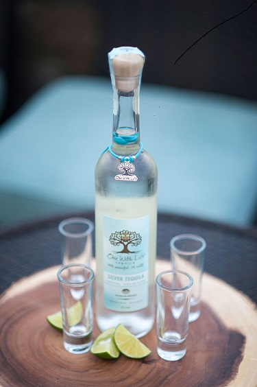 One With Life Tequila: Finding Balance in Business with Servico, Inc.